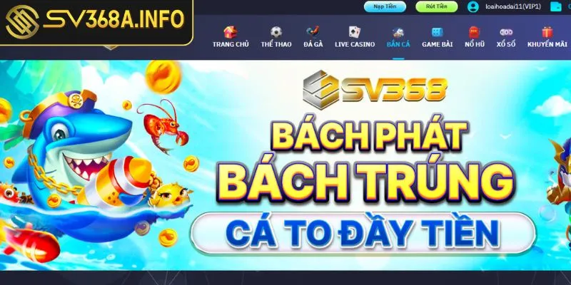 so-luoc-ve-ban-ca-sv368