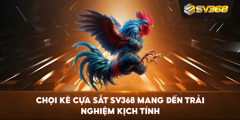 Chọi Kê Cựa Sắt SV368 mang đến trải nghiệm kịch tính