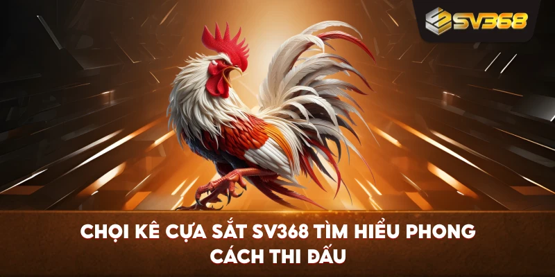 Chọi Kê Cựa Sắt SV368 tìm hiểu phong cách thi đấu