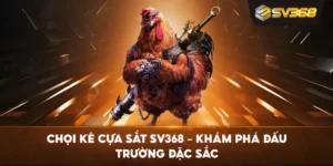 Chọi Kê Cựa Sắt SV368 – Khám phá đấu trường đặc sắc