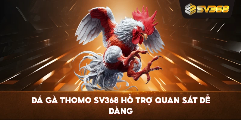 Đá Gà Thomo SV368 hỗ trợ quan sát dễ dàng
