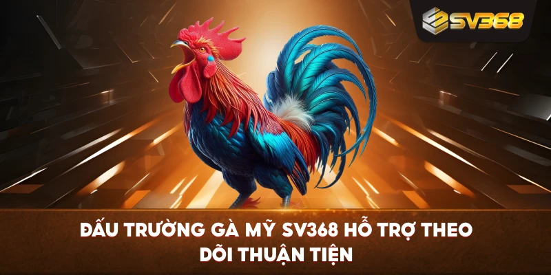 Đấu Trường Gà Mỹ SV368 hỗ trợ theo dõi thuận tiện