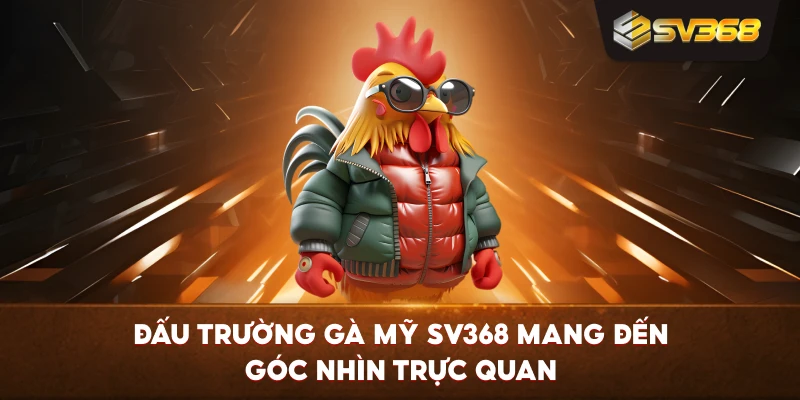 Đấu Trường Gà Mỹ SV368 mang đến góc nhìn trực quan