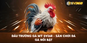 Đấu Trường Gà Mỹ SV368 – Sân chơi đá gà nổi bật