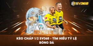 Kèo Chấp 1/2 SV368 – Tìm hiểu tỷ lệ bóng đá