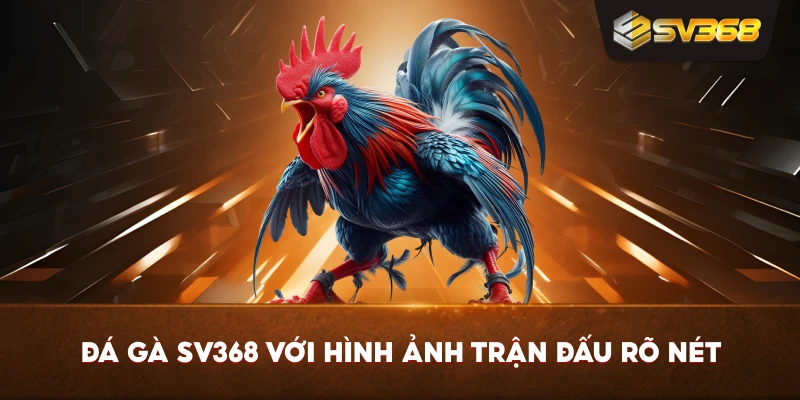 Đá Gà SV368 với hình ảnh trận đấu rõ nét